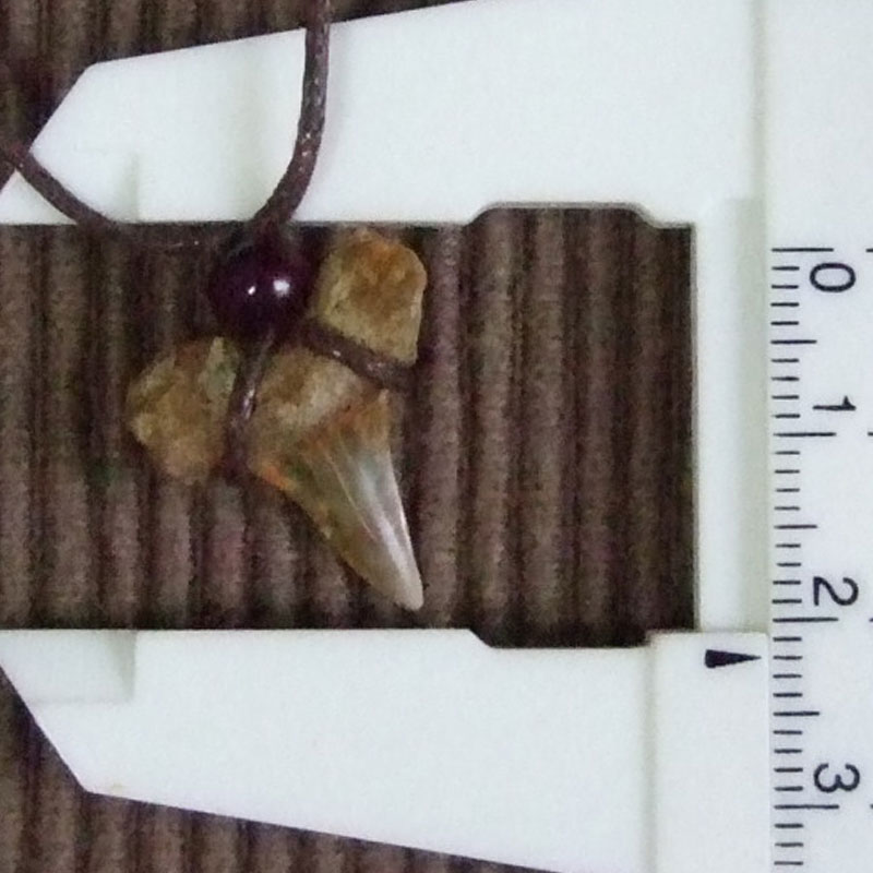 【表示現品】古代アオザメの歯化石 ペンダント（2.1cm） - 30222zhb - ウインドウを閉じる