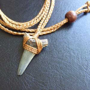 【訳あり現品】古代アオザメの歯(化石)ペンダント - 30271zhb 【訳あり現品】古代アオザメの歯(化石)ペンダント - 30271zhb