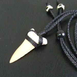 【表示現品】サメの歯化石 ペンダント - 30277zhb 【表示現品】サメの歯化石 ペンダント - 30277zhb
