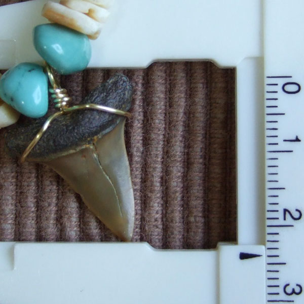 【表示現品】古代アオザメの歯化石 ビーズチョーカー - 30292zhb - ウインドウを閉じる