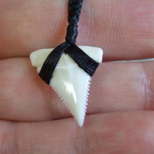 【表示現品】2.2cm 本物のホホジロザメ(ホオジロザメ) の歯ペンダント - 21021zhb 【表示現品】2.2cm 本物のホホジロザメ(ホオジロザメ) の歯ペンダント - 21021zhb