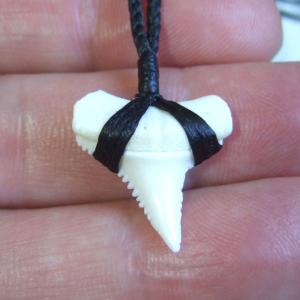 【訳あり現品】2.1cm 本物のホホジロザメ(ホオジロザメ) の歯ペンダント - 21091zhb 【訳あり現品】2.1cm 本物のホホジロザメ(ホオジロザメ) の歯ペンダント - 21091zhb