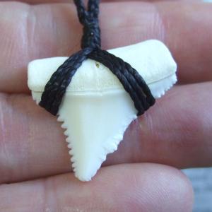 【訳あり現品】2.7cm 本物のホホジロザメ(ホオジロザメ) の歯ペンダント - 21134zhb 【訳あり現品】2.7cm 本物のホホジロザメ(ホオジロザメ) の歯ペンダント - 21134zhb