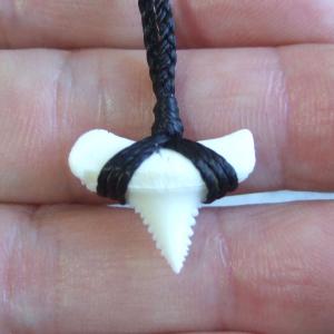 【訳あり現品】1.7cm 本物のホホジロザメ(ホオジロザメ) の歯ペンダント - 21135zhb 【訳あり現品】1.7cm 本物のホホジロザメ(ホオジロザメ) の歯ペンダント - 21135zhb