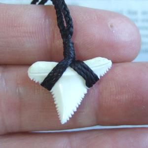 【訳あり現品】2.0cm 本物のホホジロザメ(ホオジロザメ) の歯ペンダント - 21136zhb 【訳あり現品】2.0cm 本物のホホジロザメ(ホオジロザメ) の歯ペンダント - 21136zhb