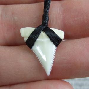 【表示現品】2.2cm 本物のホホジロザメ(ホオジロザメ) の歯ペンダント - 21145zhb 【表示現品】2.2cm 本物のホホジロザメ(ホオジロザメ) の歯ペンダント - 21145zhb