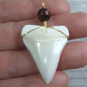 【表示現品】3.5cm 本物のホホジロザメ(ホオジロザメ) の歯ペンダント - 21149zhb 【表示現品】3.5cm 本物のホホジロザメ(ホオジロザメ) の歯ペンダント - 21149zhb