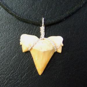 本物のサメの歯（化石）ペンダント【現品】 - 30118esa