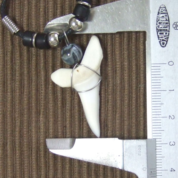 【大型 現品】3.9cm マコシャーク　本物のサメの歯ペンダントネックレス - 20070zhb - ウインドウを閉じる
