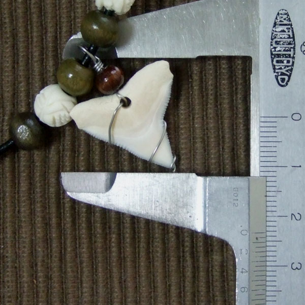 メジロザメ サメの歯チョーカー（約2.4cm） - 20087zhb - ウインドウを閉じる