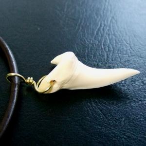 【訳あり】アオザメの歯(約3.7cm)ペンダント - 20139zhb 【訳あり】アオザメの歯(約3.7cm)ペンダント - 20139zhb