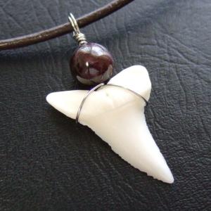 【訳あり現品】アオザメの歯(約2.8cm)ペンダント - 20422zhb 【訳あり現品】アオザメの歯(約2.8cm)ペンダント - 20422zhb