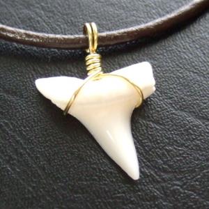 【現品】アオザメの歯(約1.9cm)ペンダント - 20429zhb 【現品】アオザメの歯(約1.9cm)ペンダント - 20429zhb