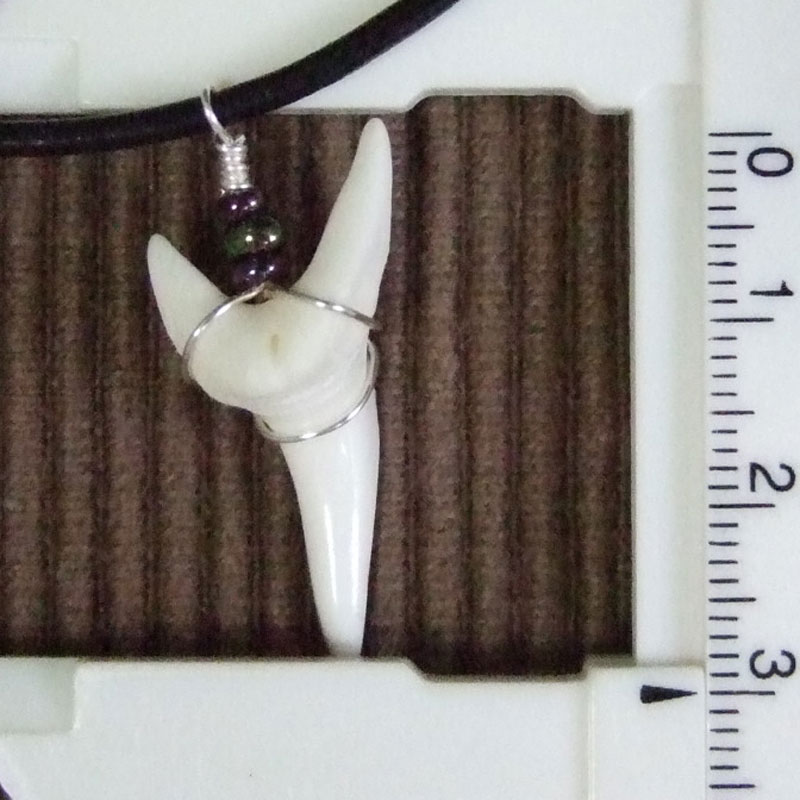 【表示現品】アオザメの歯（約3.1cm）ペンダント - 20764zhb - ウインドウを閉じる