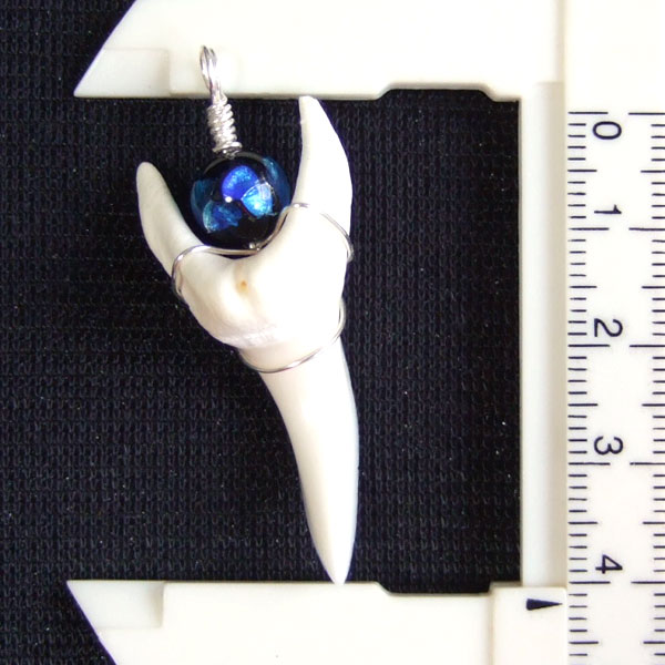 【表示現品】4.2cm アオザメ の歯ほたる玉 ペンダント - 20867zhb - ウインドウを閉じる
