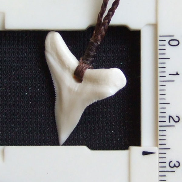 【表示現品】2.6.cm 大型オオメジロザメの歯ペンダント - 20888zhb - ウインドウを閉じる