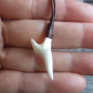 【表示現品】アオザメの前歯（約3.3cm）シンプルネックレス - 21069zhb