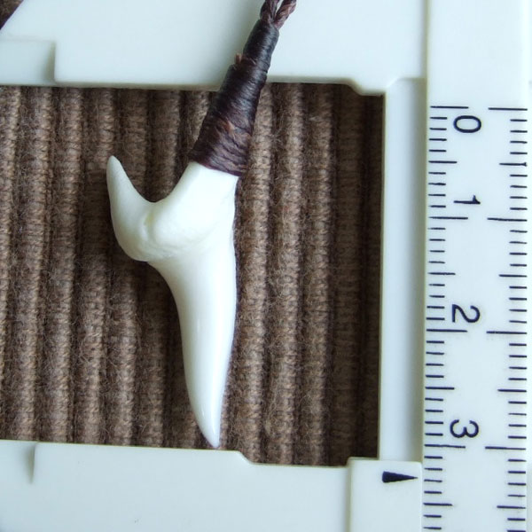 【表示現品】アオザメの前歯（約3.3cm）シンプルネックレス - 21069zhb - ウインドウを閉じる