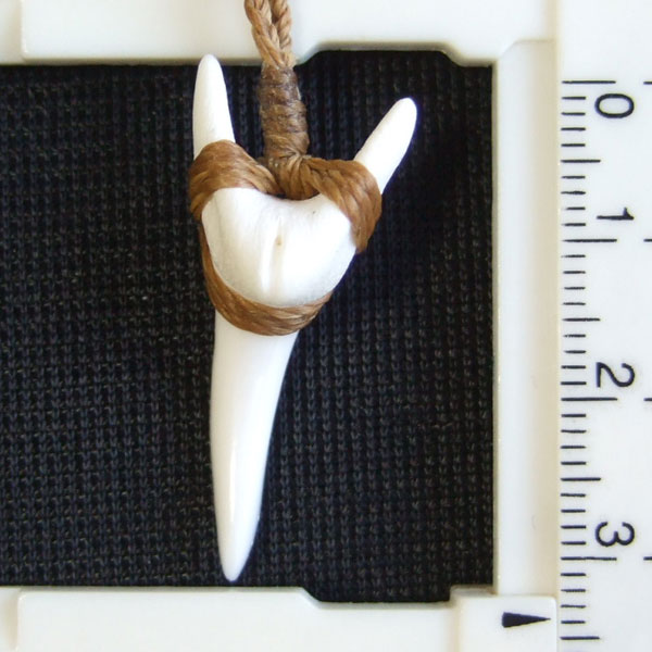 【表示現品】アオザメの前歯（約3.3cm）編みこみネックレス - 21137zhb - ウインドウを閉じる