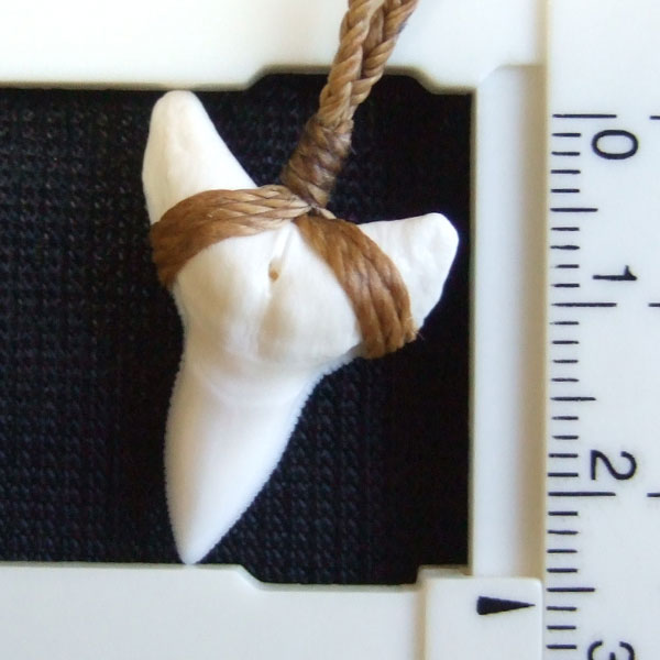 【表示現品】2.6.cm 大型オオメジロザメの歯ペンダント - 21152zhb - ウインドウを閉じる