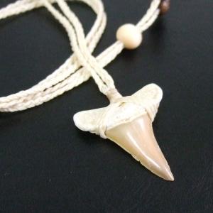 【表示現品】サメの歯化石 ペンダント - 30274zhb