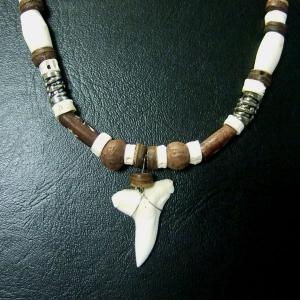 本物のサメの歯ネックレス - 20050etk