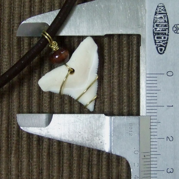 メジロザメ サメの歯チョーカー（約2.4cm） 茶色- 20085zhb - ウインドウを閉じる