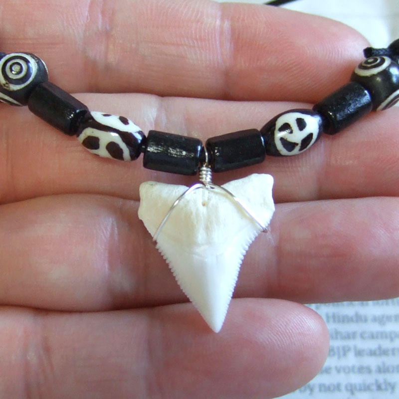 【訳あり現品】オオメジロザメの歯（上あご）ネックレス - 20750zhb - ウインドウを閉じる