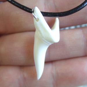 【表示現品】アオザメの歯（約3.5cm）ペンダント - 21037zhb