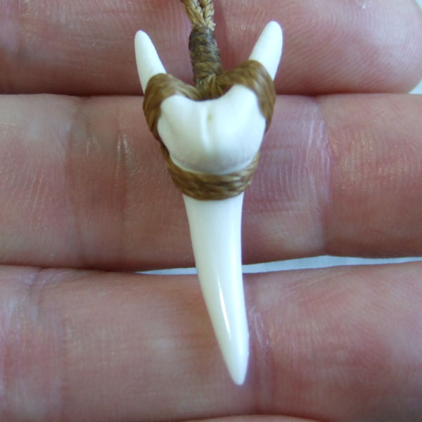 【表示現品】アオザメの前歯（約3.3cm）編みこみネックレス - 21137zhb - ウインドウを閉じる