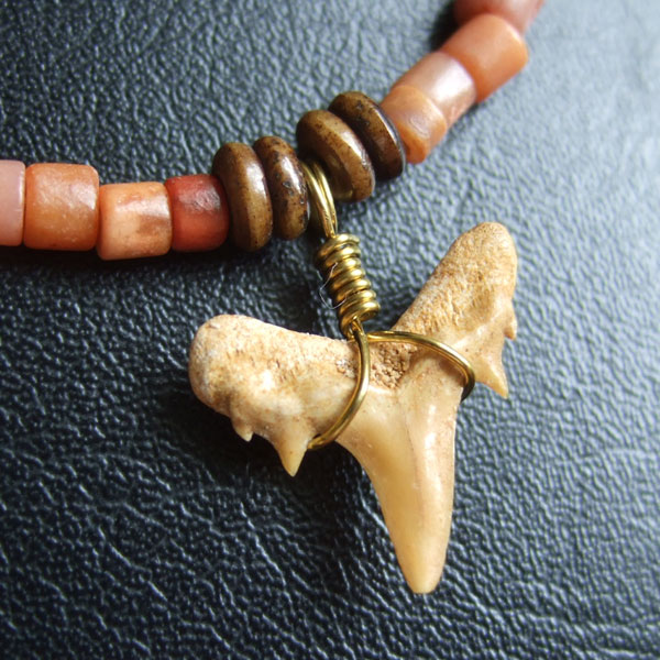 【表示現品】古代シロワニの仲間の歯化石　ビーズブレスレット - 30311zhb - ウインドウを閉じる