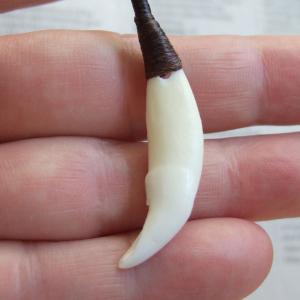 【訳あり現品】狼牙編み込みネックレス<こげ茶コード 中サイズ> - WTN15005 【訳あり現品】狼牙編み込みネックレス<こげ茶コード 中サイズ> - WTN15005